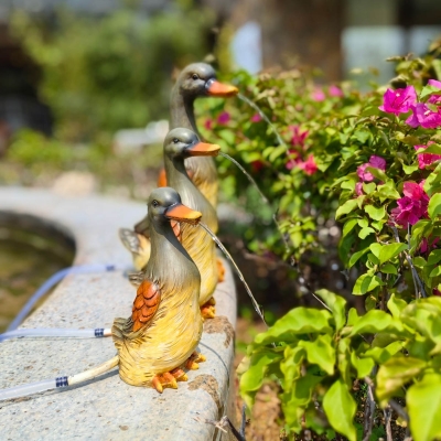 Wild Duck Solar Fountain Water with solar panel