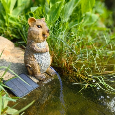 Squirrel Solar Fountain Water with solar panel