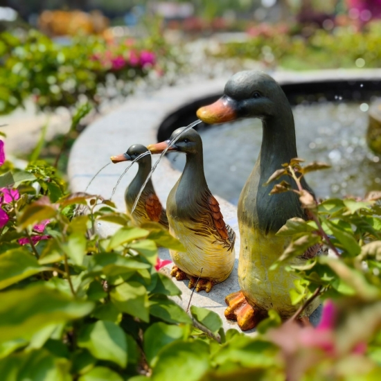 Wild Duck Solar Fountain Water with solar panel