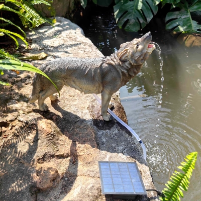 Wolf Solar Fountain Water Flow with Solar Panel