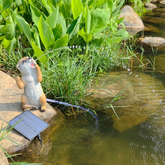 The Meerkat Solar Fountain Water with solar panel