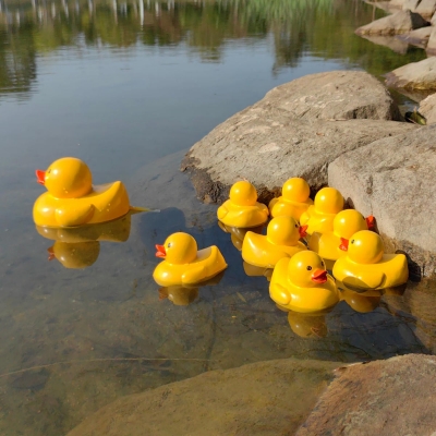 Yellow Baby Duck Solar Fountain Water With Solar Panel Bath Duck