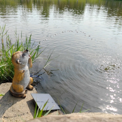 The Meerkat Solar Fountain Water with solar panel